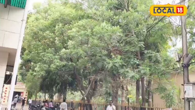 छत्तीसगढ़ के इन इलाकों में वज्रपात और बारिश का अलर्ट, जानें अपने जिले का हाल