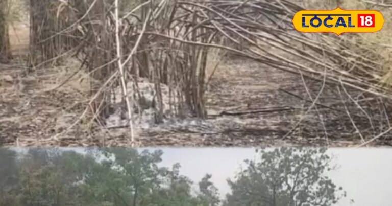 दिल्ली में यहां है ऐतिहासिक स्मारक, मकबरा देखने के लिए नहीं लगेगा कोई शुल्क