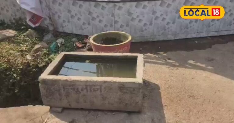 प्यास से तड़पते मवेशियों के लिए अमृत बना 'कोटाना' अभियान, अब जानवर भी कहेंगे..