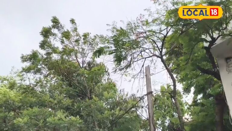 भारत-कनाडा के रिश्तों पर जमी बर्फ पिघलेगी; कार्नी की जीत से खत्म होगी तनातनी?