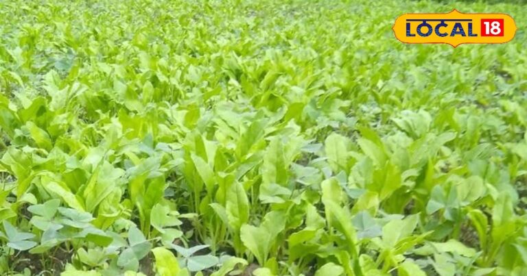 तुम्‍हारा जनरल हमारी जूते की नोक पर... पुल‍िस ने कर डाली PAK आर्मी की ऐसी तैसी