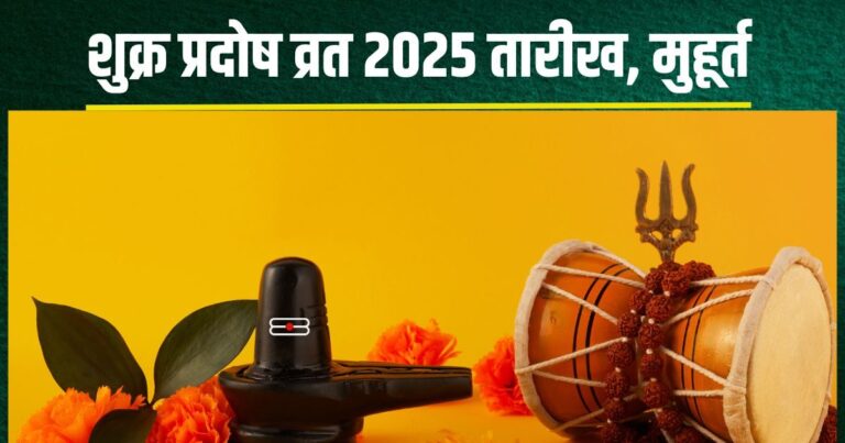 रायपुर में करोल बाग की फेमस कुल्फी की धूम, स्वाद ने लोगों को बनाया दीवाना