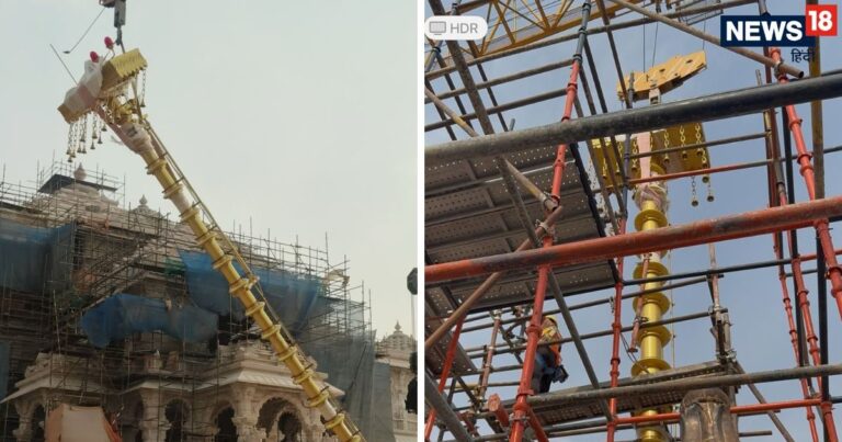 भरतपुर की धरती पर उगता है ये अरबी फल, मिठास में सबका बाप! सेहत के लिए अमृत