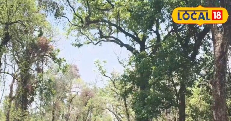 बस्तर, रायपुर, बिलासपुर, दुर्ग संभाग में भारी बारिश का अलर्ट, आंधी भी आएगी