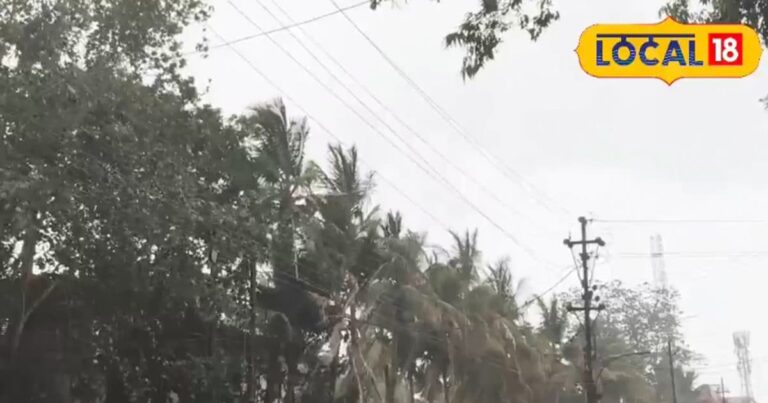 छत्तीसगढ़ में प्री-मानसून सक्रिय, अगले सप्ताह तक गरज-चमक के साथ होगी बारिश