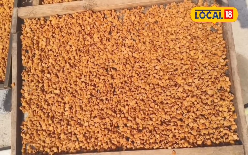 Rs 20000 में म‍िल रहे ये धांसू लैपटॉप, जेब पर बोझ डाले ब‍िना लें प्रीमियम फीचर