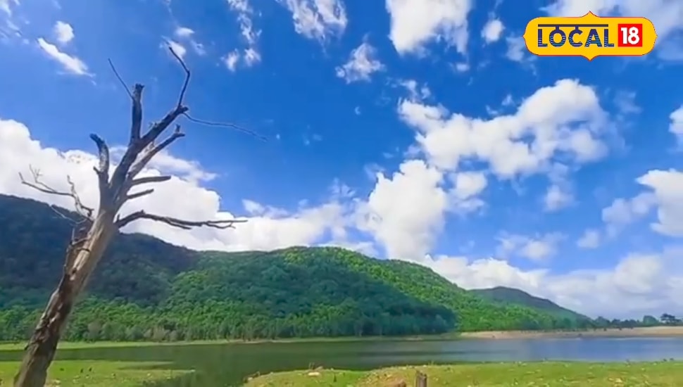 मिर्जापुर में समूह की महिलाएं बना रही हैं 'बनारसी साड़ी', विदेश तक होगी बिक्री