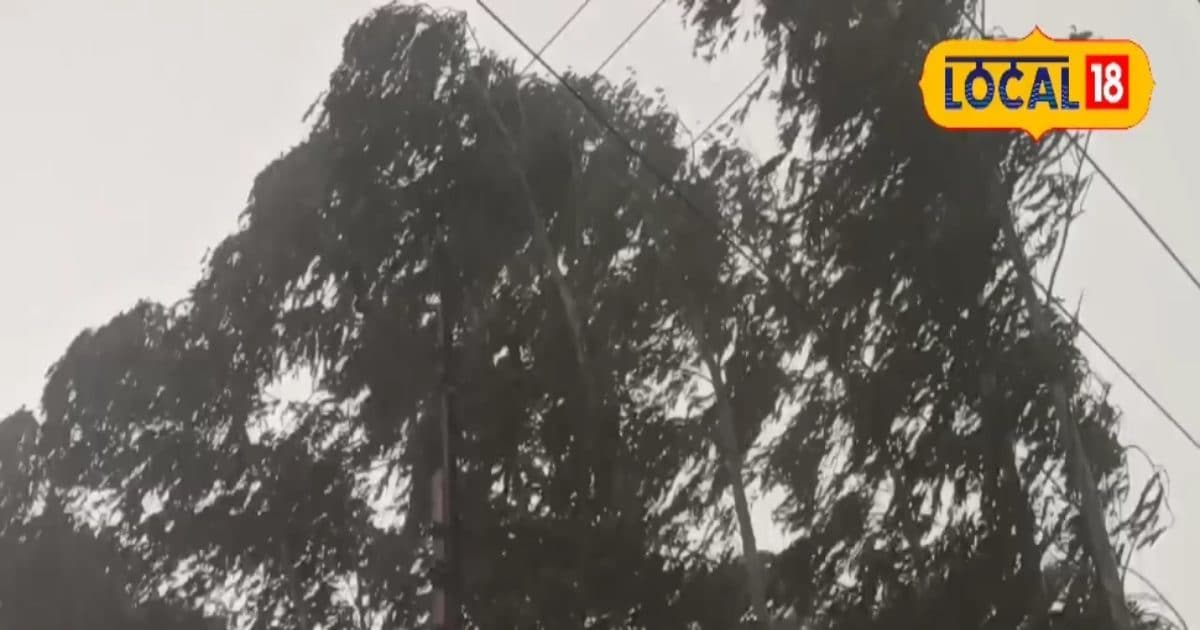 कोरबा में मूसलाधार बारिश के साथ तेज आंधी, थम गया पूरा शहर, सतर्क रहने की जरूरत