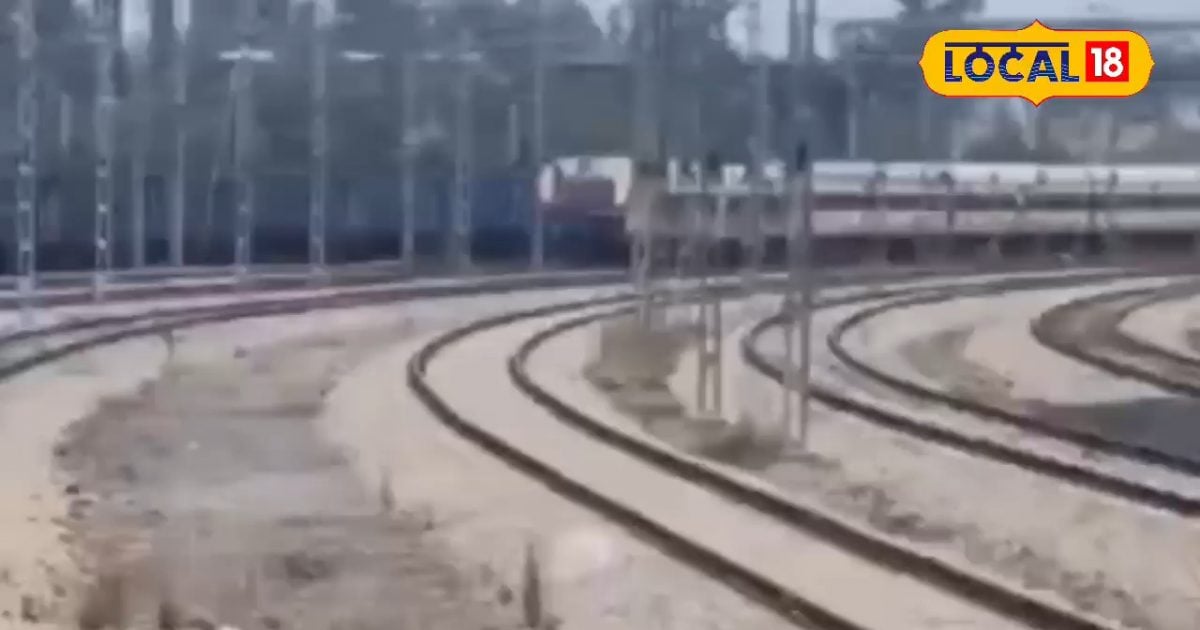 सड़क सुरक्षा के लिए बरेली की ‘वायरल गर्ल’ की मुहिम, 'परवाह’ अभियान से बदलें...