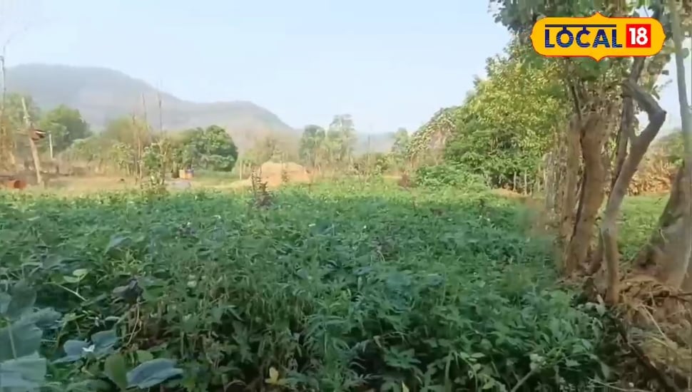 FTA: डबल कंट्रीब्यूशन कन्वेंशन क्या है? UK में नहीं कटेगा भारतीयों फालतू पैसा