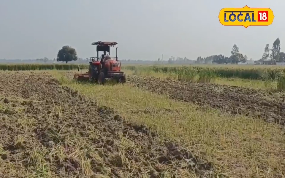 कर्नल सोफिया कुरैशी के पति भी सेना में अफसर, पिता और दादा भी कर चुके देश सेवा