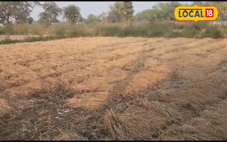 3 नवजात शिशुओं का नाम 'सिंदूर' रखा, सफल सैन्‍य ऑपरेशन के बीच हुआ जन्‍म