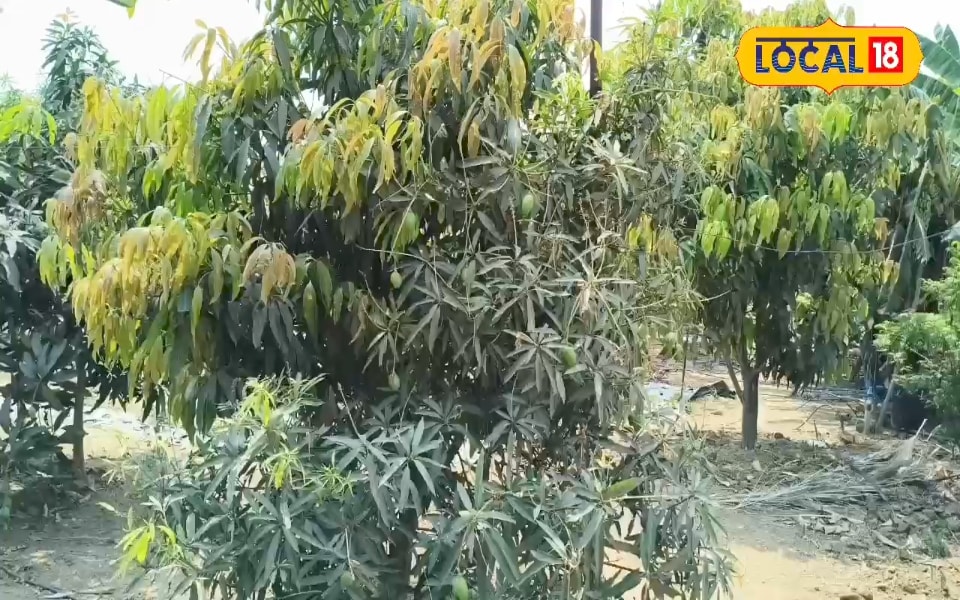 पिता के साथ दिन में खेती, फिर रात को पढ़ाई, किसान के बेटे ने किया कमाल