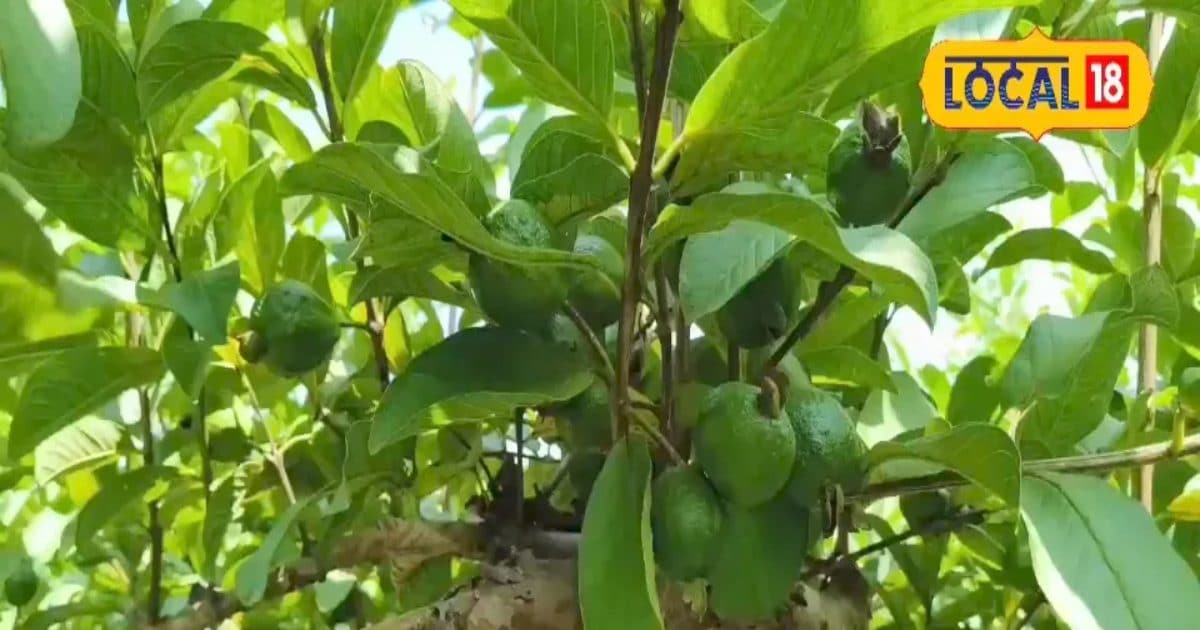 अजरबैजान-तुर्की घूमने का प्लान कर दिया है कैंसिल! इस बजट फ्रेंडली देश को चुने