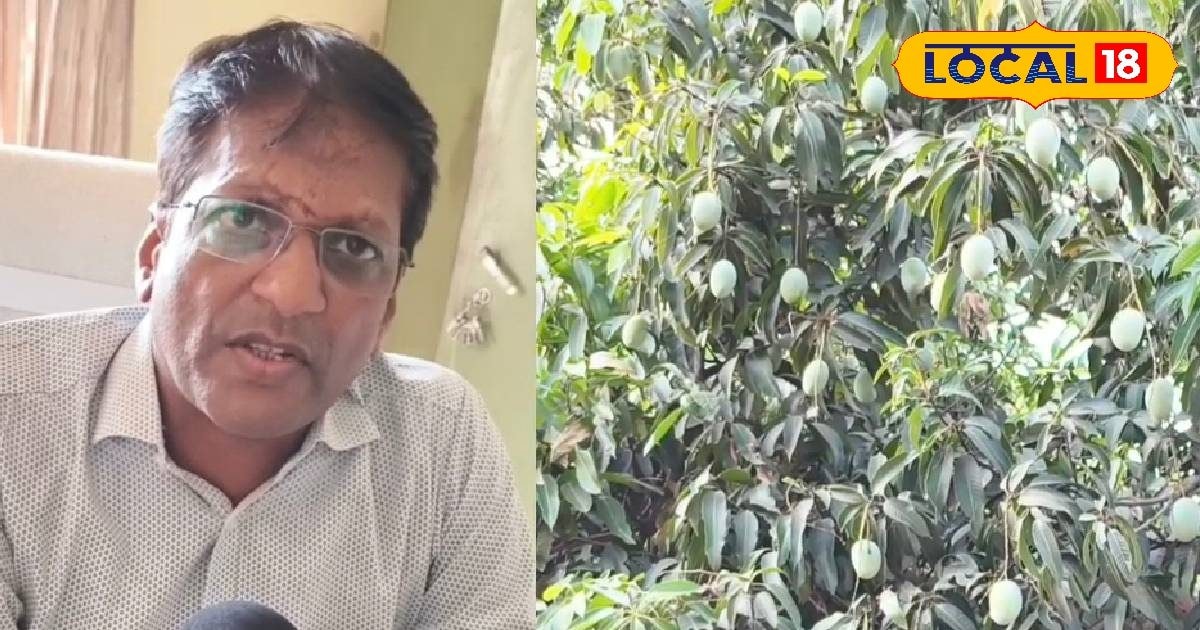 हॉलमार्किंग के बहाने सर्राफा दुकान से 45 लाख का सोना ले भागा कर्मी, 2 अरेस्ट