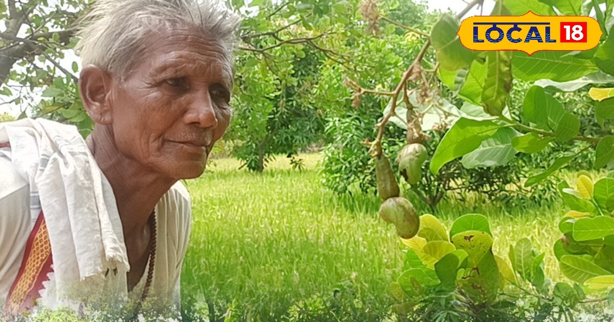 हॉस्टल में बढ़ती तन्हाई और मोबाइल की लत बन रही मुसीबत, जानें कैसे करे बचाव