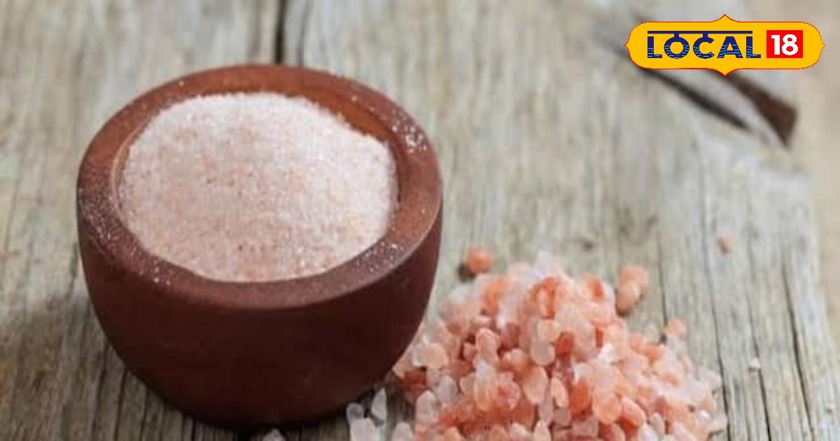 इस युवक ने बनाई गजब की डिवाइस, 500KM दूर बैठकर भी गार्डन में दे सकेंगे पानी