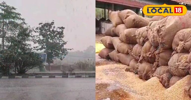 भोपाल में समोसे को मिला नया तड़का! आलू नहीं...चिली पनीर, पास्ता, पिज्जा....