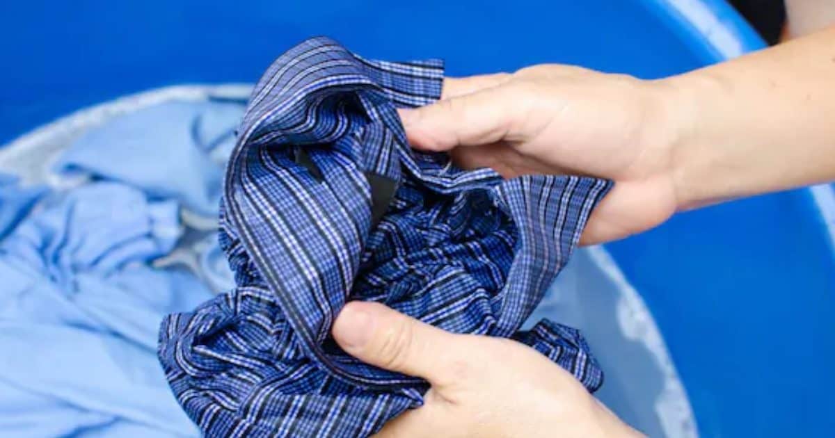 कब और किस दिन कपड़े धोना बनता है कंगाली का कारण? क्या कहता है वास्तु शास्त्र