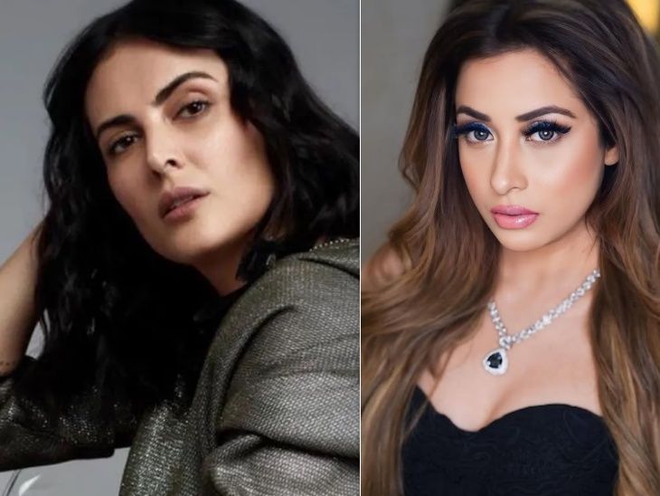 Mandana karimi said- India bombed Pakistani Kashmiris, actress madhura ask foreign minister to take action against her | मंदाना करीमी बोलीं- भारत ने पाकिस्तानी कश्मीरियों पर बमबारी की: एक्ट्रेस मधुरा बोलीं- भारत की बदनामी बर्दाश्त नहीं, कार्रवाई हो; भड़के लोग बोले- भारत छोड़ो