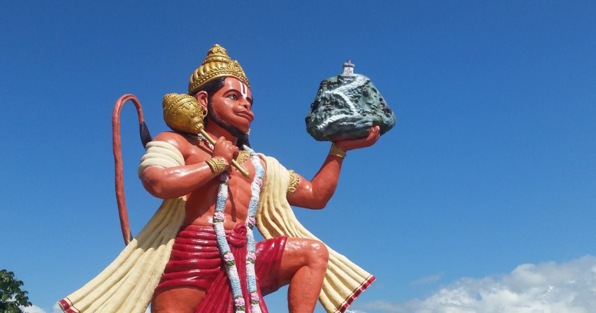 क्या गर्मियों में सुपरफूड है कटहल? कौन सी परेशानियां कर सकता है दूर, जानें सच