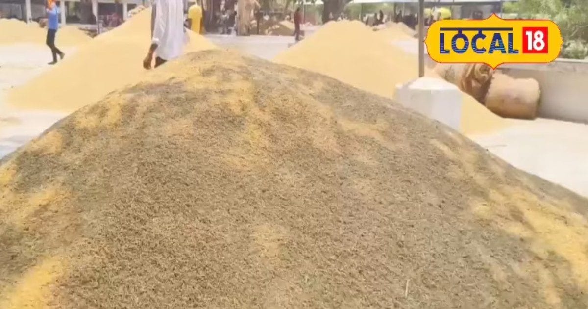 धान के ढेर, लेकिन कीमतें औंधे मुंह! मंडी में किसान बोले...मेहनत गई मिट्टी में