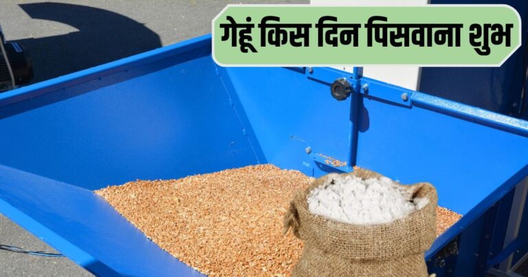 अंडे उबालकर न फेंकें पानी, इस चीज में आता है बड़ा काम, पूरा घर होगा सुंदर
