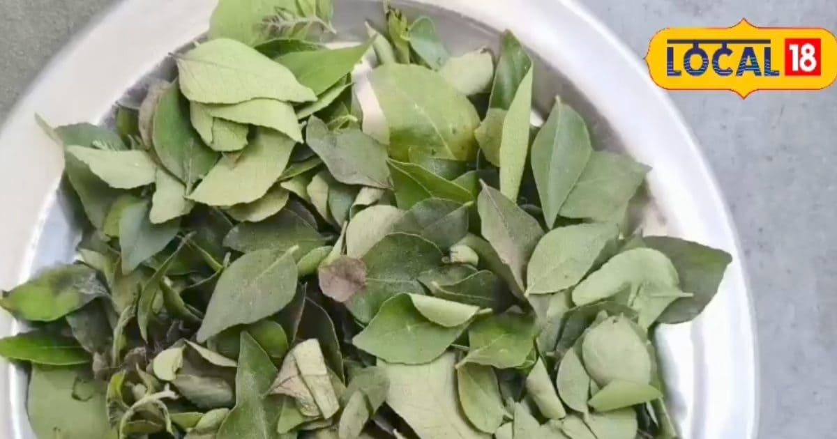 सिर से पैर तक कर्ज में डूबा है अमेरिका, रेटिंग एजेंसी ने दिया जोर का झटका