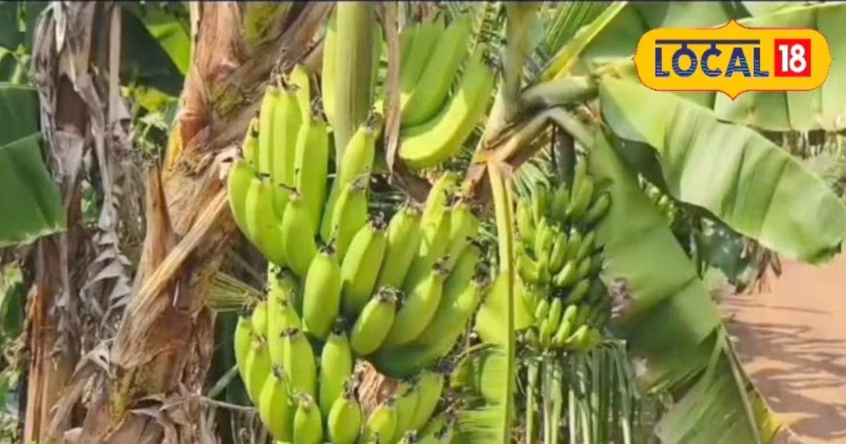 25 दूल्हों की दुल्हन, गजब चाल चलती है, 24 तो भूल गए 25वां पहुंच गया थाने